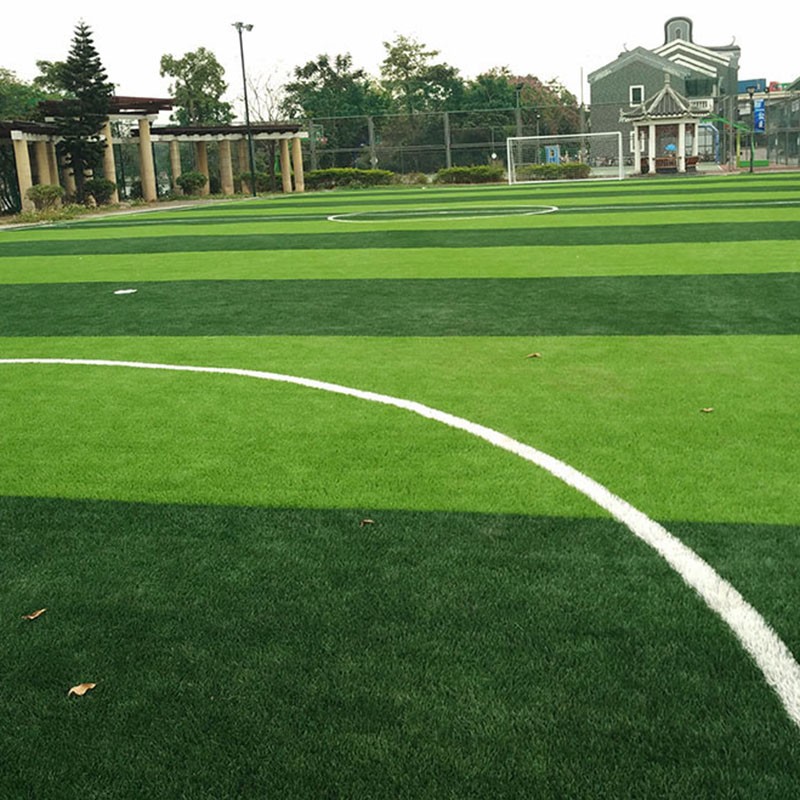 廣東建足球場 足球場草坪 造價